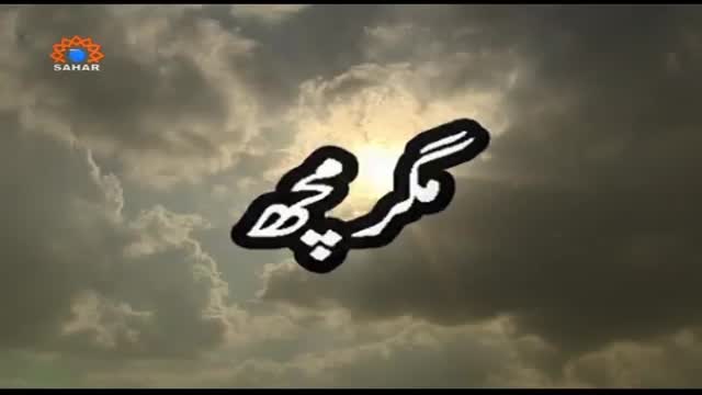 [Documentry] Magar Mach | مگرمچھ - May 28, 2015 - Urdu