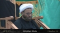 [02] Shahadat Imam Ali (a.s) - Mohabbate Khuda - H.I. Hurr Shabbiri - 28July13 - Urdu