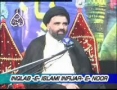 [01] Inqilab-e-Islami Infijar-e-Noor - Ustad Syed Jawad Naqavi - Urdu