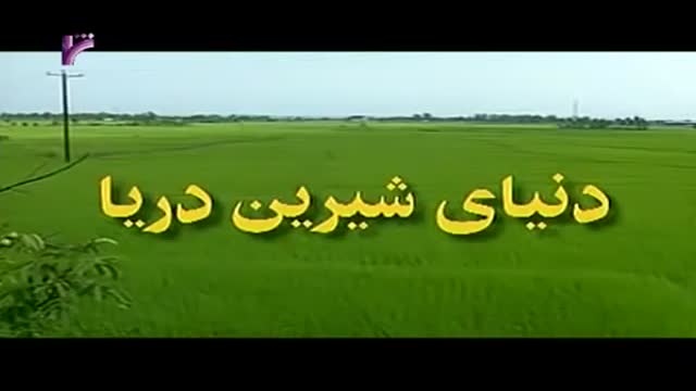 [20 Episode | قسمت] Donyay Shirine Darya | دنیای شیرین دریا - Farsi