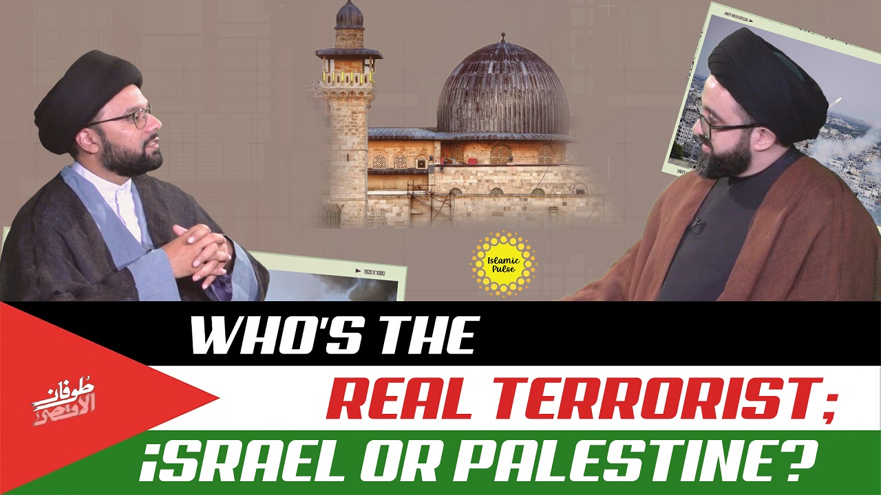 Who's The Real Terrorist; israel or Palestine? | IP Talk Show | English