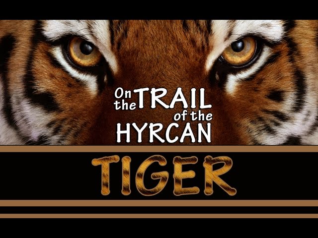 [Documentary] On the Trail of the Hyrcan Tiger (The Quest for the Allegedly Extinct Caspian Tiger in Iran) - Eng