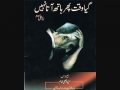  Time spent never returns-Imam Ali as- an ebook in Urdu