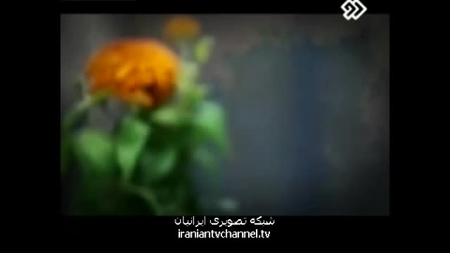 [24] Serial Fakhteh | سریال فاخته - Drama Serial - Farsi
