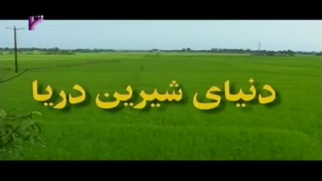 [08 Episode | قسمت] Donyay Shirine Darya | دنیای شیرین دریا - Farsi