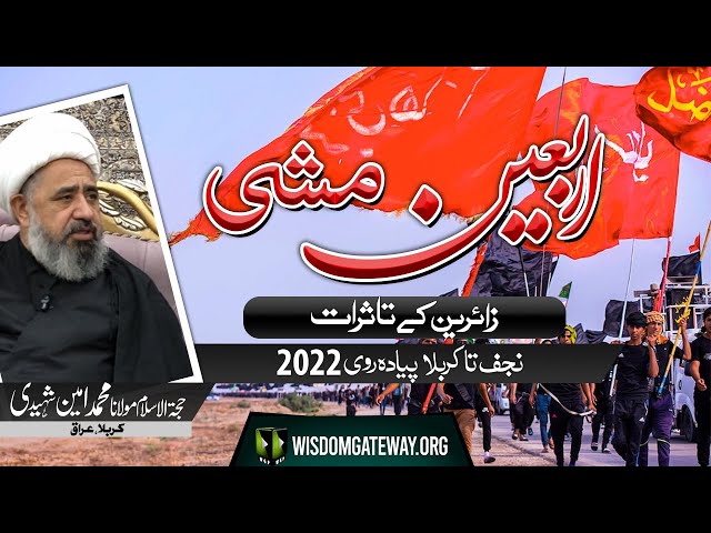 [Arbaeen e Hussaini 2022] Interview | H.I Molana Muhammad Ameen Shaheedi | Karbala | Urdu