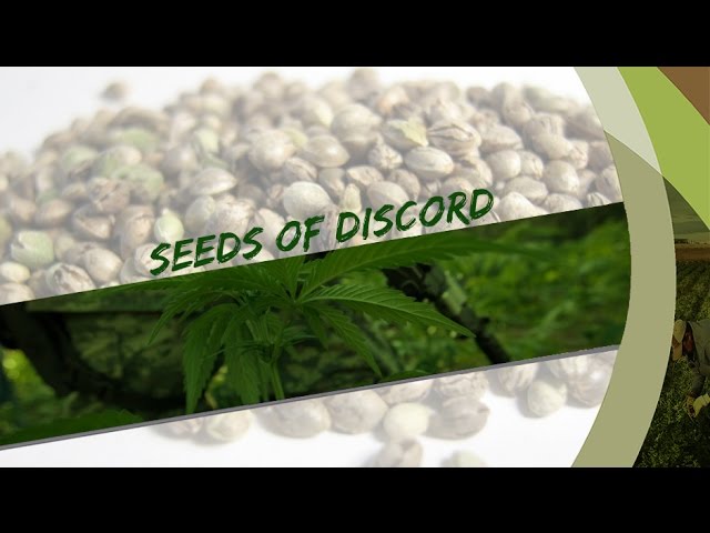 [Documentary] Seeds of Discord - English