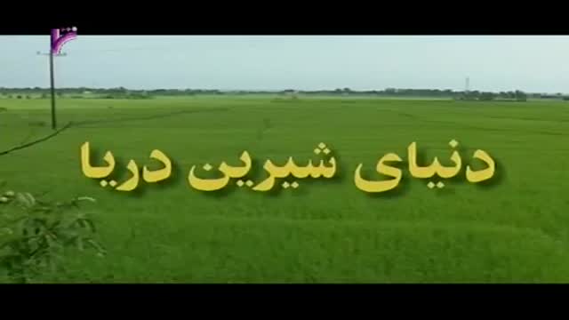 [21 Episode | قسمت] Donyay Shirine Darya | دنیای شیرین دریا - Farsi