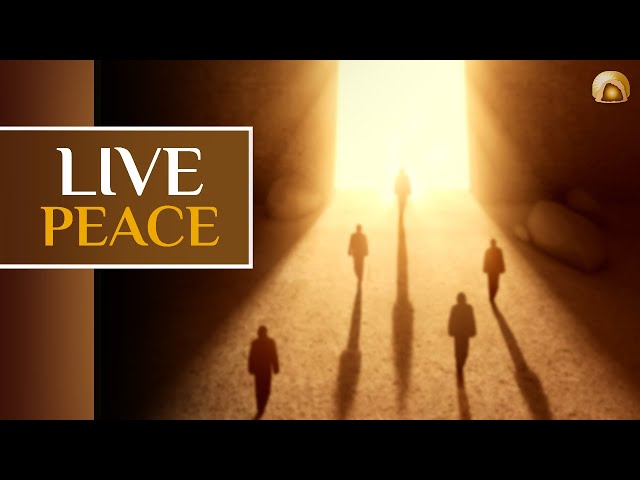 Peace : more than a word, a way of life  | French Sub English