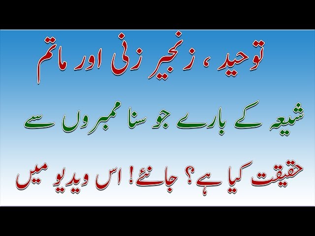 Shia Aqaid | Zanjeer Zani aur Matam | Nice Talk | Allama Ameer Hussain Naqvi