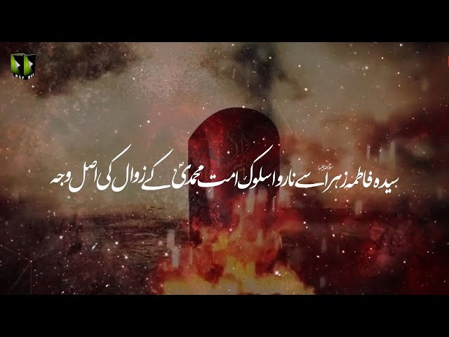 [Clip] Syeda Fatima Zehra Say Ummat Ka Na Rawa Salook, Ummat-e-Muhammadi (saww) Kay Zawaal Ke Wajah | Urdu