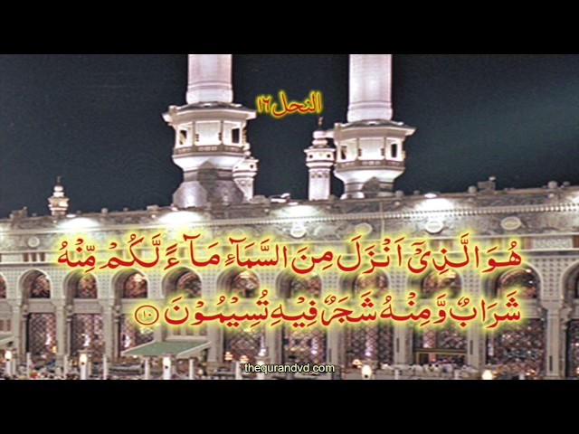 Chapter 16 An Nahl | HD Quran Recitation By Qari Syed Sadaqat Ali - Arabic