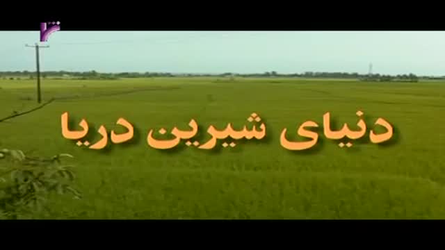[14 Episode | قسمت] Donyay Shirine Darya | دنیای شیرین دریا - Farsi