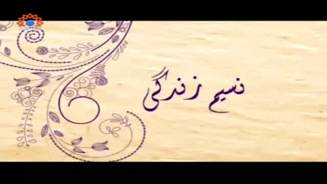 [13 July 2015] Morning Show | Naseem-e-Zindagi | حجاب - Urdu
