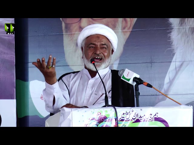 [Wilayat-e-Haq Convention 2018] یوم یعسوب الدین | Speech: Moulana Mohsin Mehdavi |Asgharia Org. Pak - Sindh