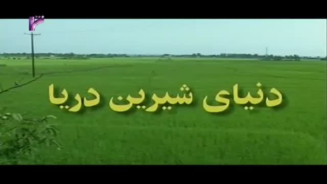 [04 Episode | قسمت] Donyay Shirine Darya | دنیای شیرین دریا - Farsi