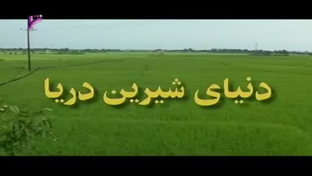 [26 Episode | قسمت] Donyay Shirine Darya | دنیای شیرین دریا - Farsi