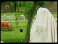 [17] میراث Meeraas - Drama Serial - Urdu