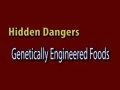 Dangers of Genetically Engineered Foods - English