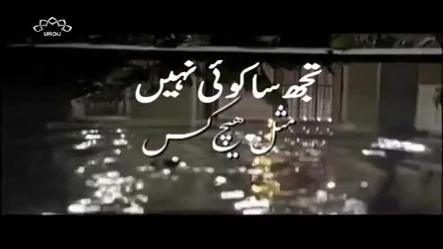 [09] Drama Serial - تجھ سا کوئ نہیں - Urdu