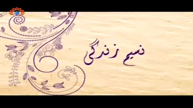 [04 Aug 2015] Naseem-e-Zindagi | اسلامی انسانی حقوق - Urdu