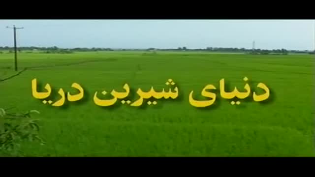 [07 Episode | قسمت] Donyay Shirine Darya | دنیای شیرین دریا - Farsi