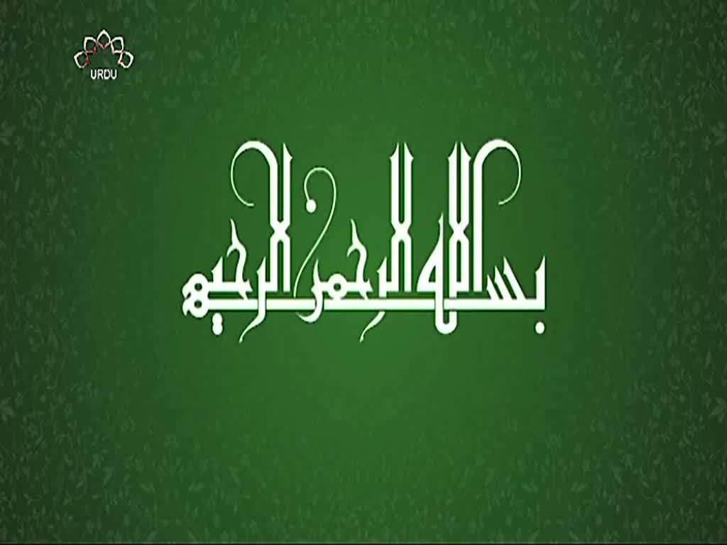 [08] Aafat He Aafat | Season 1 | آفت ہی آفت | Urdu Drama Serial