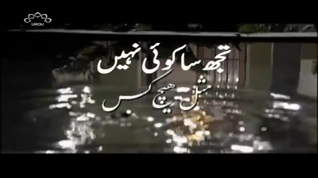 [18] Drama Serial - تجھ سا کوئ نہیں - Urdu