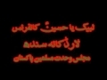 MWM ka Falsafa e Wajoodi - H.I. Hassan Zafar Naqvi - Urdu