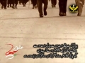 [Documentary] سفر کربلا و عشق حسین Eshq Hussain (A.S) - Safar e Karbala - Farsi Urdu Translation