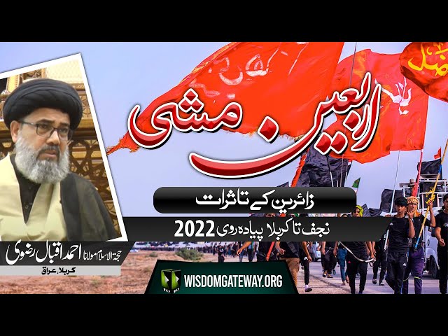 [Arbaeen e Hussaini 2022] Interview | H.I Molana Syed Ahmed Iqbal Rizvi | Karbala | Urdu
