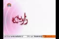 [01 Nov 2013] Zavia Nigah - زاویہ نگاہ - Urdu