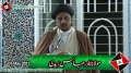 [افکارِ شہید مطہریؒ] Speech Mulana Nadir Abbas - 1 May 2013 - Urdu