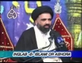 [04] Inqilab-e-Islami Infijar-e-Noor - Ustad Syed Jawad Naqavi - Urdu
