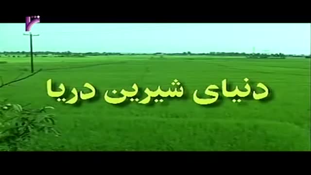[13 Episode | قسمت] Donyay Shirine Darya | دنیای شیرین دریا - Farsi