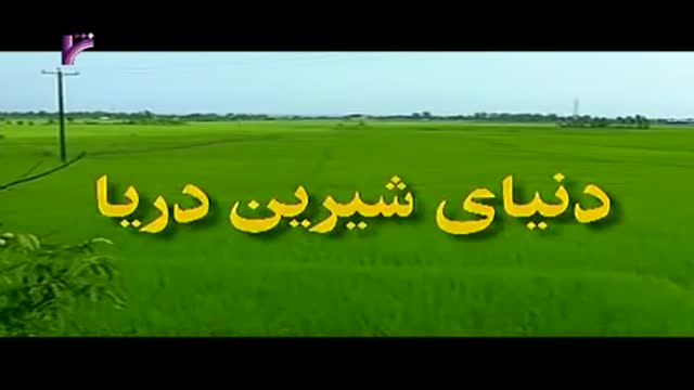[10 Episode | قسمت] Donyay Shirine Darya | دنیای شیرین دریا - Farsi