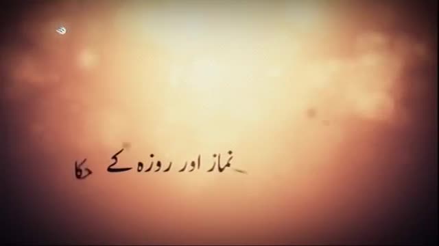 [28 October 2015] RaheZindagi | شرعی سوالوں کے جواب | راہ زندگی - Urdu