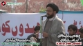 [14 Jan 2013] Karachi Dharna - Ending Dharna Speech H.I. Sadiq Taqvi - Urdu