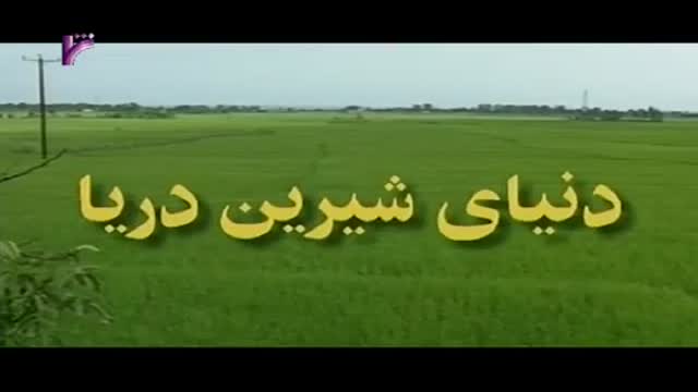 [24 Episode | قسمت] Donyay Shirine Darya | دنیای شیرین دریا - Farsi