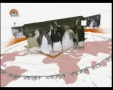 [29 May 2012] Andaz-e-Jahan - کابل واشنگٹن اسٹریٹیجک معاہدہ - Urdu