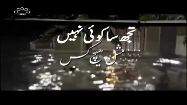 [08] Drama Serial - تجھ سا کوئ نہیں - Urdu