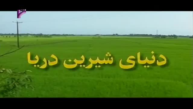 [01 Episode | قسمت] Donyay Shirine Darya | دنیای شیرین دریا - Farsi
