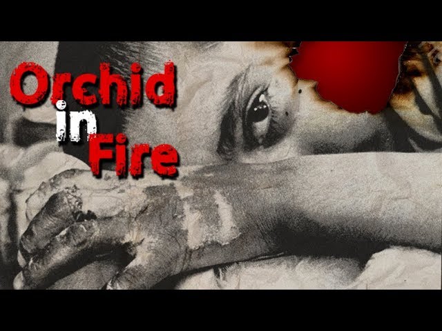 [Documentary] Orchid in Fire - English