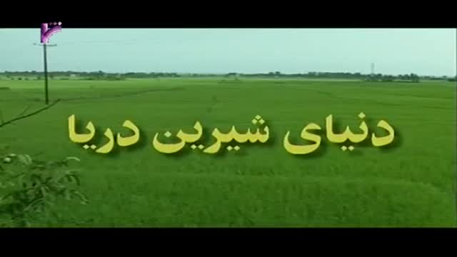 [15 Episode | قسمت] Donyay Shirine Darya | دنیای شیرین دریا - Farsi