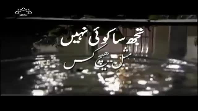 [01] Drama Serial - تجھ سا کوئ نہیں - Urdu