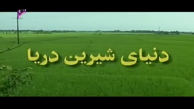 [06 Episode | قسمت] Donyay Shirine Darya | دنیای شیرین دریا - Farsi