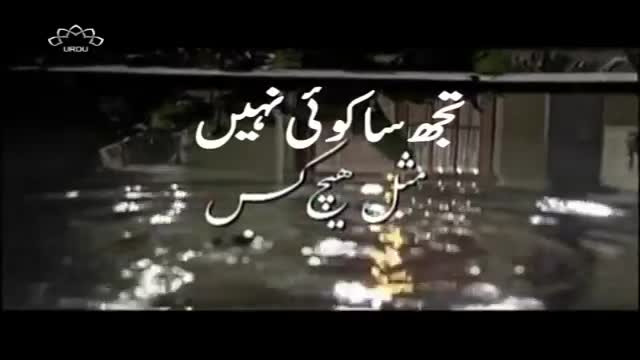 [11] Drama Serial - تجھ سا کوئ نہیں - Urdu