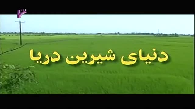 [09 Episode | قسمت] Donyay Shirine Darya | دنیای شیرین دریا - Farsi