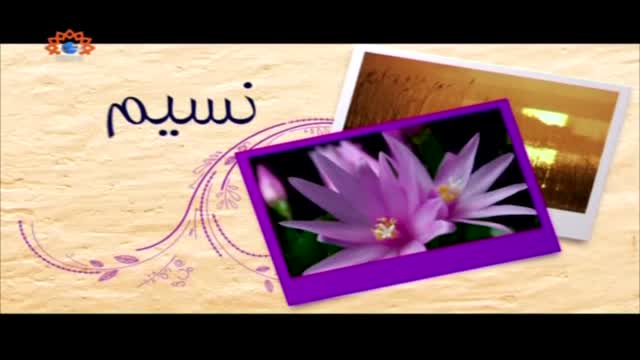 [25 May 2015] Morning Show | Naseem-e-Zindagi | اہلِ بیت کی اہمیت - Urdu