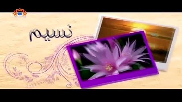 [28 April 2015] Morning Show | Naseem-e-Zindagi | محنت اور حق حلال کی کمائ - Urdu